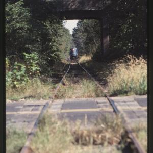 Untitled Ralph Curcio Photo 331