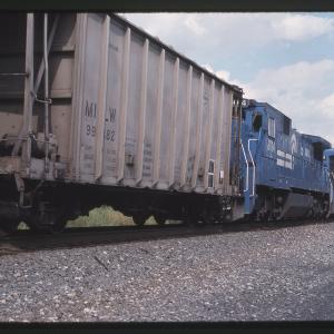 Untitled Ralph Curcio Photo 346