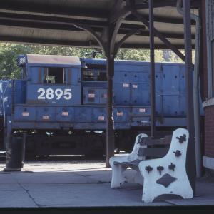Untitled Ralph Curcio Photo 356