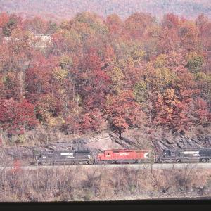 Untitled Ralph Curcio Photo 368