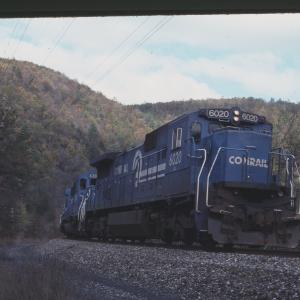 Untitled Ralph Curcio Photo 397