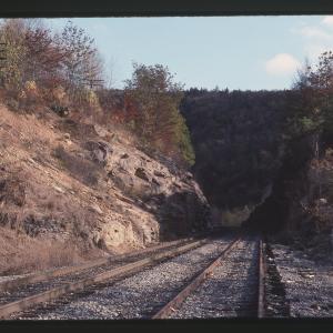 Untitled Ralph Curcio Photo 398