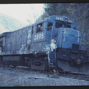 Untitled Ralph Curcio Photo 403
