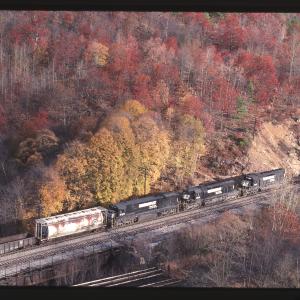 Untitled Ralph Curcio Photo 412