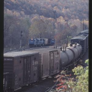 Untitled Ralph Curcio Photo 418