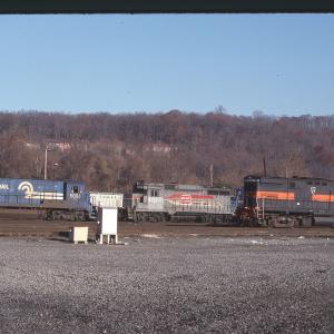 Untitled Ralph Curcio Photo 452