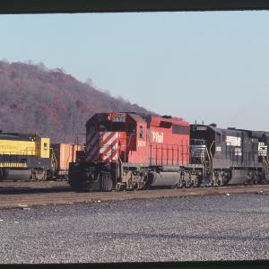 Untitled Ralph Curcio Photo 459