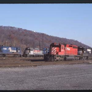 Untitled Ralph Curcio Photo 462