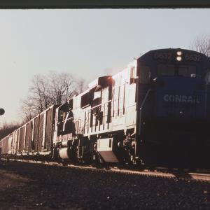 Untitled Ralph Curcio Photo 480