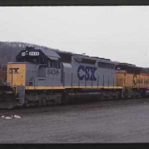 Untitled Ralph Curcio Photo 514