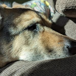 ZTS Maps, Toledo Division, Zone 67, Zone 68, Zone 69 1984