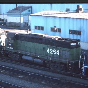 Undescribed David Edwards Slide 517