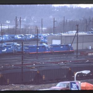 Undescribed David Edwards Slide 520