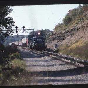 Undescribed David Edwards Slide 533