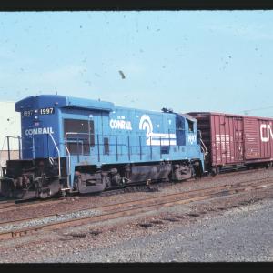 Undescribed David Edwards Slide 781