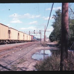 Undescribed David Edwards Slide 796