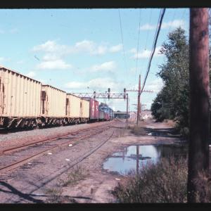 Undescribed David Edwards Slide 798