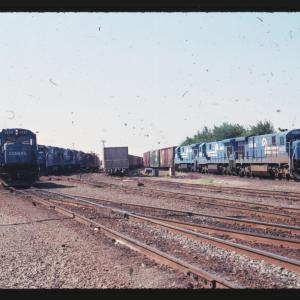 Undescribed David Edwards Slide 846