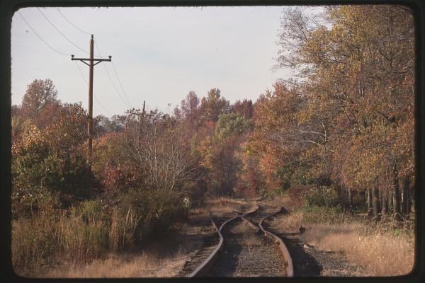 Untitled Ralph Curcio Photo