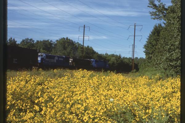 Untitled Ralph Curcio Photo