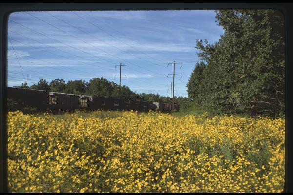 Untitled Ralph Curcio Photo