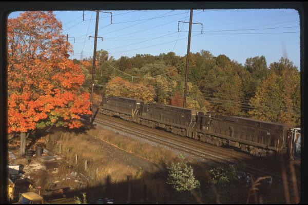 Untitled Ralph Curcio Photo