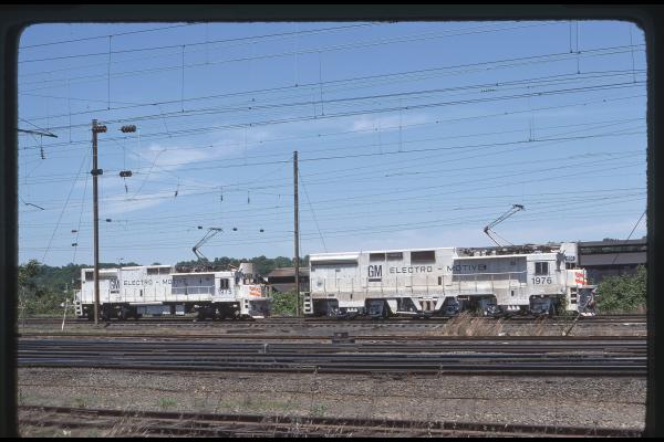 Untitled Ralph Curcio Photo