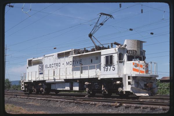 Untitled Ralph Curcio Photo