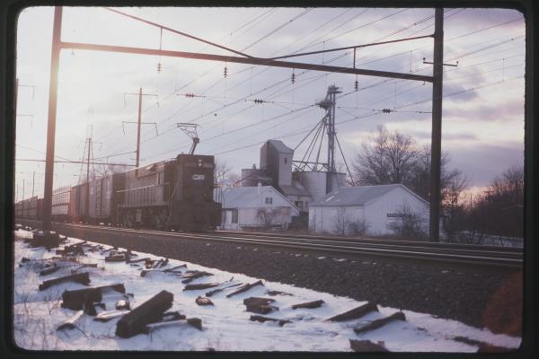 Untitled Ralph Curcio Photo