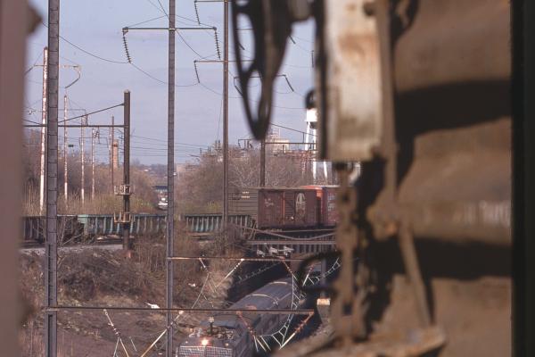 Untitled Ralph Curcio Photo