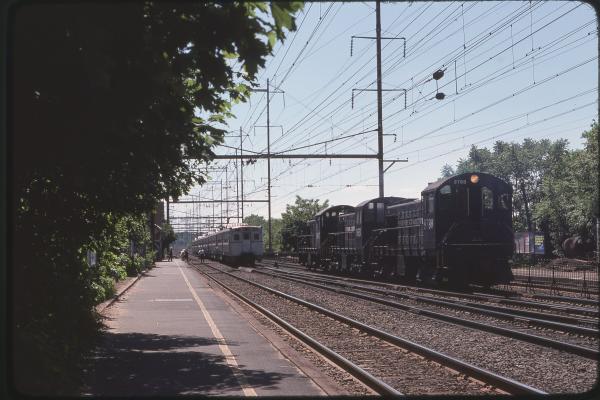 Untitled Ralph Curcio Photo