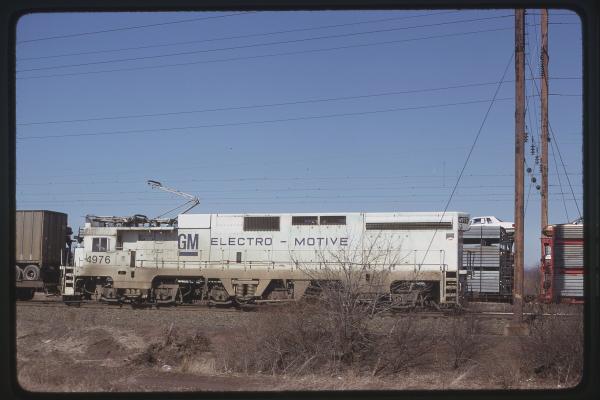 Untitled Ralph Curcio Photo