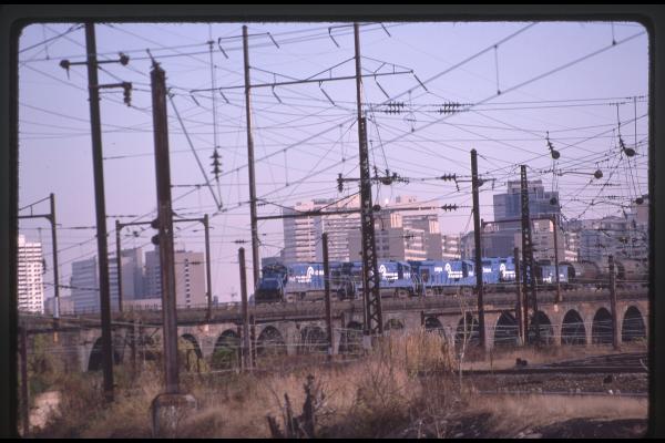 Untitled Ralph Curcio Photo