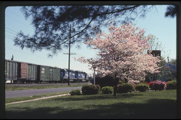 Untitled Ralph Curcio Photo of the Penns Grove Secondary in NJ
