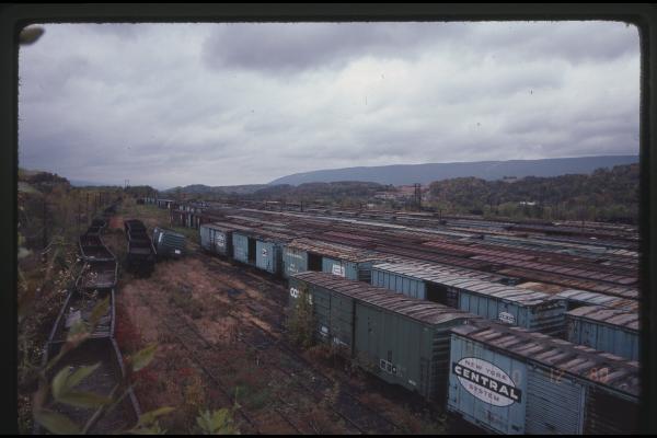 Boxcars at Rose Yard in Altoona, PA