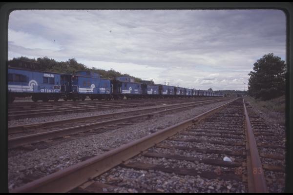 Stored Cabooses at Rutherford, PA