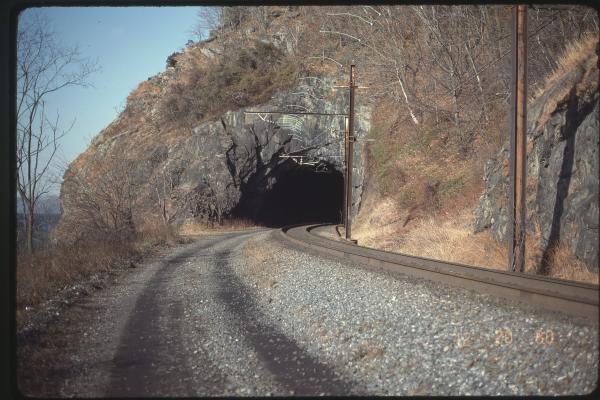 Tunnel on the Port Road
