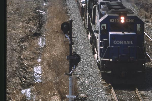 Untitled Ralph Curcio Photo 5