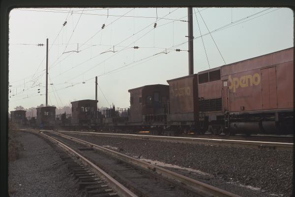 Untitled Ralph Curcio Photo 70