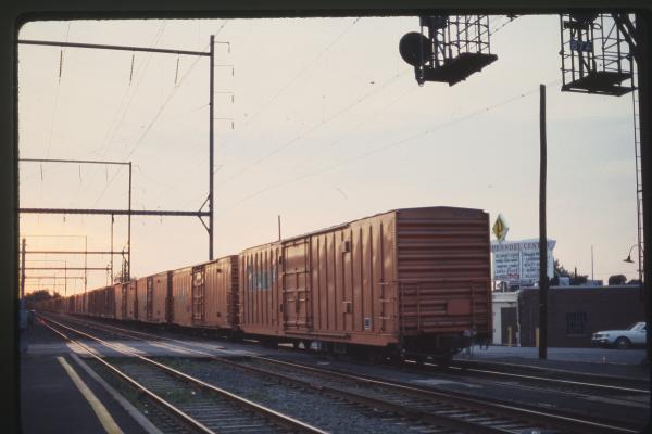 Untitled Ralph Curcio Photo 152