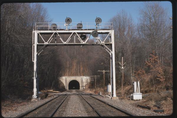 Untitled Ralph Curcio Photo 175