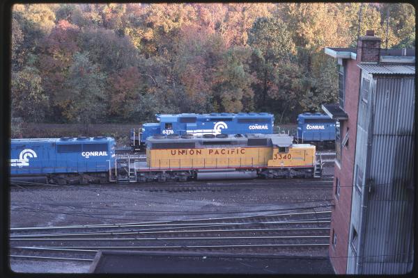 Untitled Ralph Curcio Photo 207