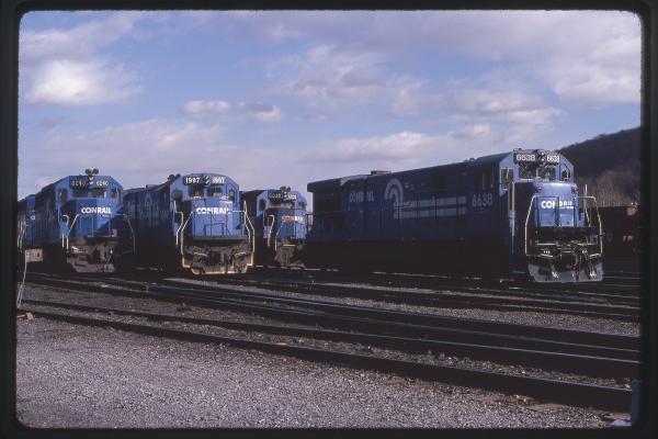 Untitled Ralph Curcio Photo 214