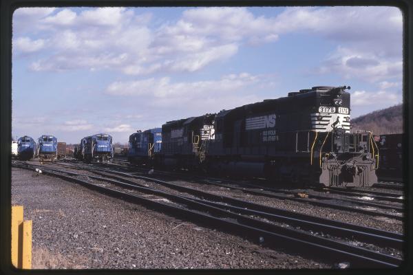 Untitled Ralph Curcio Photo 215