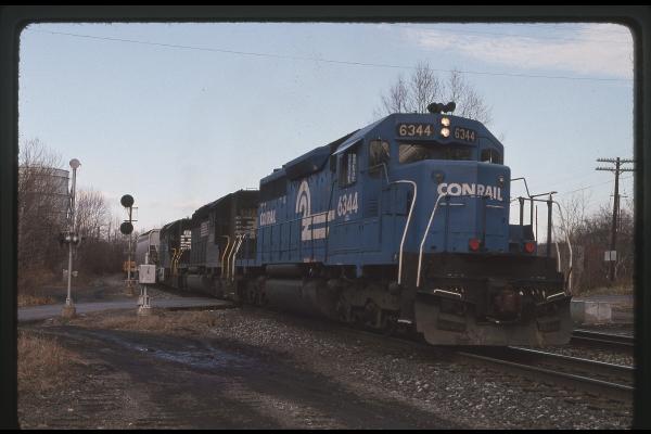 Untitled Ralph Curcio Photo 261