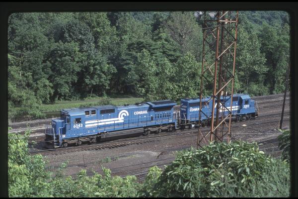 Untitled Ralph Curcio Photo 275