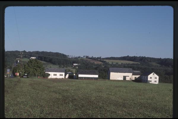 Untitled Ralph Curcio Photo 308