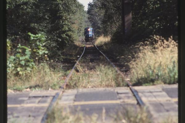 Untitled Ralph Curcio Photo 331