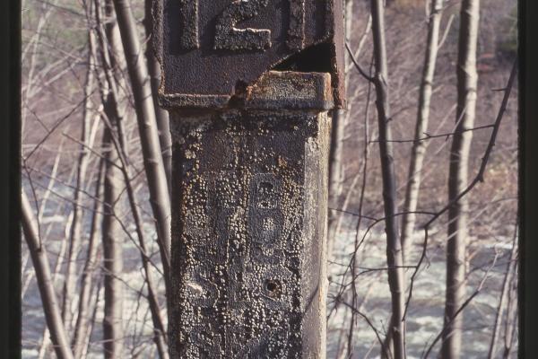 Untitled Ralph Curcio Photo 353