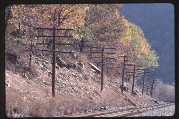 Untitled Ralph Curcio Photo 354